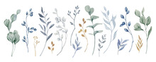 Watercolor Vector Set Of Dusty Blue Twigs And Eucalyptus Branches.