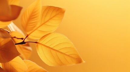 Beautiful autumn leaves. foliage on yellow background