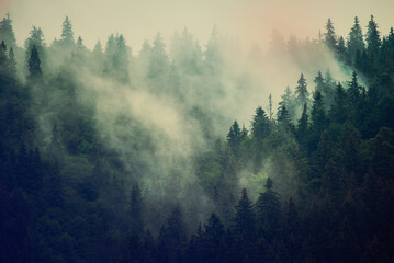Wall Mural - misty mountain landscape