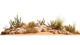 Fototapeta  - desert scene, dry plants with rocks, isolated on white background banner, 3d rendering