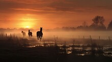 Silhouette Of Horses In A Foggy Field During A Sunrise.