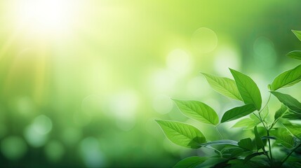 Aufkleber - Concept nature view of green leaf on blurred greenery background in garden and sunlight with copy space using as background natural green plants landscape, ecology, fresh wallpaper.