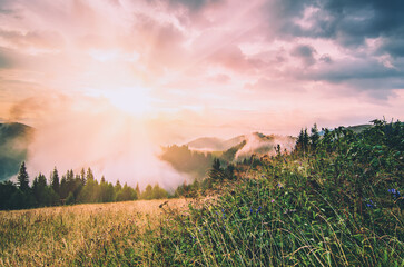 Wall Mural - Foggy morning landscape