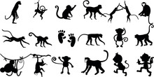 Monkey Vector Illustration - A Dynamic, Black Silhouette Collection Of Monkeys In Various Actions And Poses. Perfect For Jungle, Wildlife, Zoo, Safari, Or Tropical Themes
