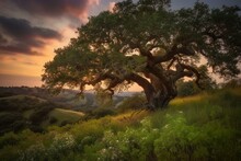 Magical Hilltop Oak Tree. Generative AI