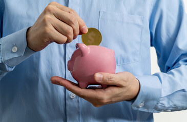 Wall Mural - Dollar coin into piggy bank