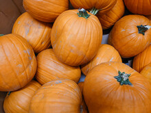 Autunno: Zucche Di Halloween - Halloween Pumpkins In Autumn