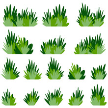 Set Bushes Of Green Grass, Lush Bunches Of Green Garden Plants. Vector Flat Cartoon Illustration Isolated On White.