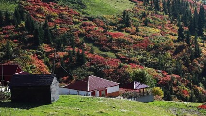 Canvas Print - 
Autumn colors in the mountains