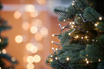 close up background image of christmas tree decorated with lights outdoors with fir branches framing