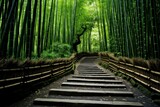 Fototapeta Las - Twisting bamboo path winding through a Japanese jungle. The image manages to seize the quietude that the natural world propagates. Generate Ai