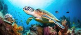 Fototapeta Do akwarium - Green Sea Turtle resting on corals in a tropical reef captured while scuba diving in Indonesia With copyspace for text
