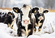 Schwarzbunte Kühe in tiefverschneiter Winterlandschaft. Generative AI