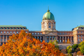 Wall Mural - Royal palace of Buda in autumn, Budapest, Hungary