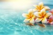 Background with frangipani plumeria flower for a spa. Generative AI