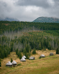 Canvas Print - Old cabins at Kopieniec Wielki in Zakopane, Poland