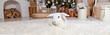 Christmas concept. white rabbit on the white carpet near Christmas tree in a home interior. Symbol of the year 2023. Close-up. Chinese New year.