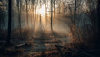 © Stockgiu - Mysterious autumn forest, spooky beauty in nature, tranquil wilderness backlit generated by AI