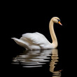 © PixelHD - Swan with its reflection and a black background. Generative ai.