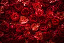 Stunning Rose Wall With Beautiful Blooms Creating A Romantic Red Floral Background. Generative AI