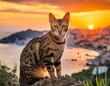 Ocicat cat majestically perched on a hill overlooking a coastal town during a fie