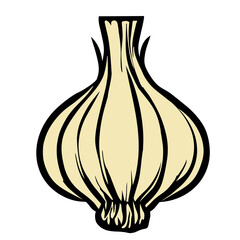 Vibrant Garlic Bulb: Vector Garlic Bulb Illustration