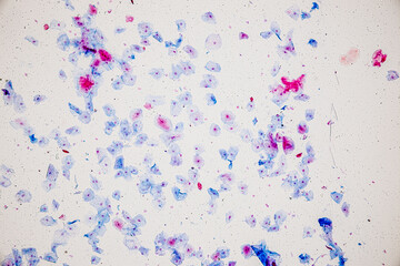 Poster - Showing Light micrograph Type of Tissue Human under the microscope in Lab.