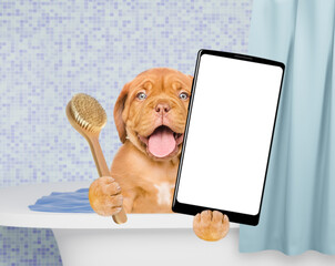 Poster - Happy Mastiff puppy takes the bath, holds shower brush and shows big smartphone with white blank screen in it paw