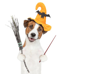 Poster - Jack russell terrier puppy wearing hat for halloween holds witches broom stick and points away on empty space. isolated on white background