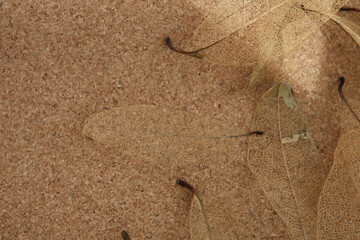skeleton leaves on a brown cork background