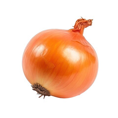 Wall Mural - Onion isolated on white transparent background, PNG