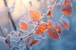 Beautiful colorful nature with bright orange leaves covered with frost in late autumn or early winter.