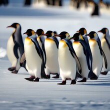 A Colony Of Penguins Waddling In A Conga Line On An Icy Dance Floor, Wearing Festive Hats1