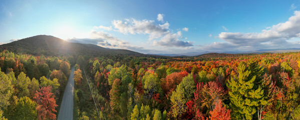 Dirt road leading to a mountain through fall leaves