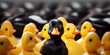  One black duck in a row of yellow ducks Diversity  The Remarkable Story of a Solitary Black Duck Surrounded by Yellow Ducks AI Generative 