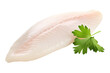 Raw Fresh Fish Fillet
