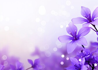   Abstract spring background with purple flowers.