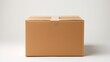 © vectorizer88 - A plain cardboard box stands isolated against a pure white background
