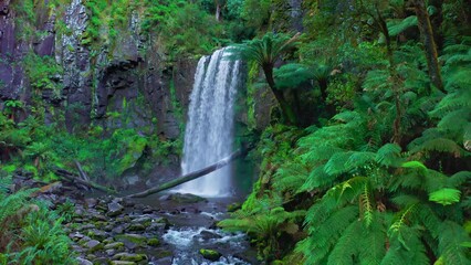 Wall Mural - Lush jungle forest waterfall landscape. Nature of Australia, Victoria