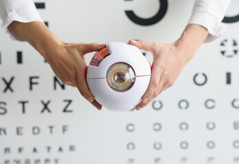 Top view of ophthalmologist doctor holding part of eye model, oculus sample, healthcare, ophthalmology, checkup, medicine, eye diagnostic, sight concept