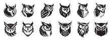 Owl Head, Black And White Vector, Silhouette Shapes Illustration