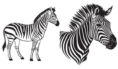 Wall Mural - Zebra head, black and white vector, silhouette shapes illustration