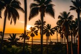 Fototapeta  - palm trees at sunset