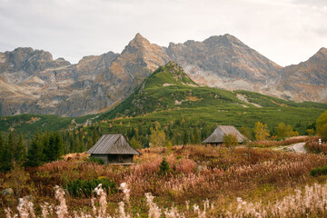 Sticker - View of the Tatra Mountains and huts at Dolina Gąsienicowa, in Zakopane, Poland