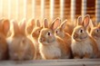 Unlocking potential with effective strategies for achieving success in the bunny industry. Generative AI