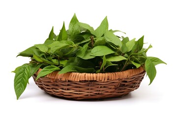 fresh lettuce in a basket