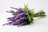 Fototapeta Lawenda - A lovely lavender bouquet with leaves on a plain white background. Generative AI