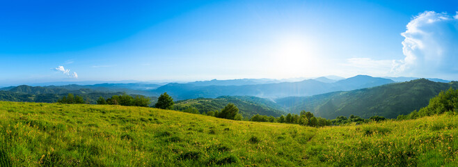 carpathians mountains landscapes from green meadow on sunset, apetska mountain, ukraine