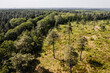Photo aérienne par drone dans la forêt de Bercé dans la Sarthe. 