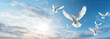 white doves, a symbol of love and peace, fly through the clouds in the blue sky. view of the sky from below.Sun shining. 